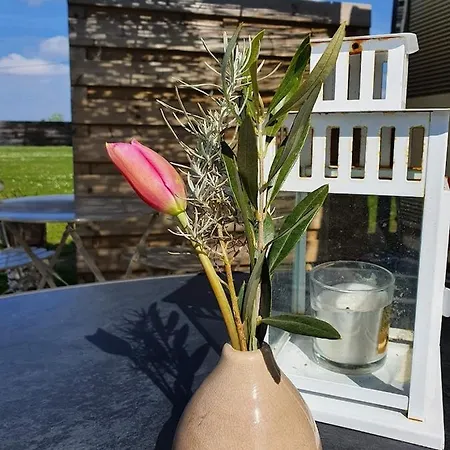 Holiday home Houten Tussen Paarden Nieuwerkerken