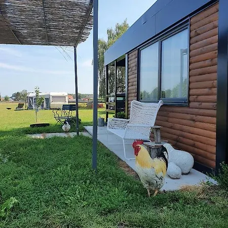 Houten Tussen Paarden