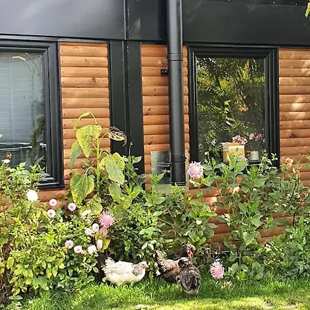 Houten Tussen Paarden Nieuwerkerken