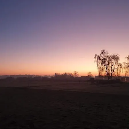 Houten Tussen Paarden * Nieuwerkerken