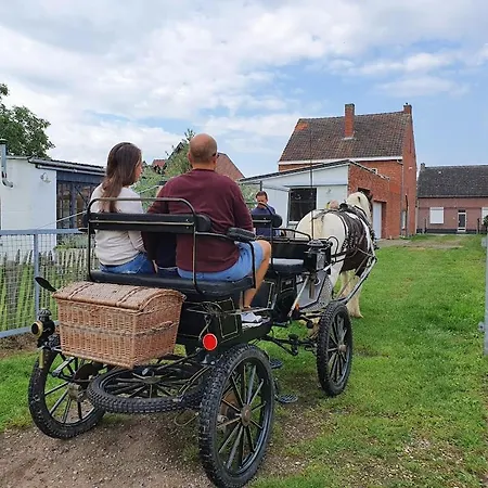 Vakantiehuis Houten Tussen Paarden Nieuwerkerken