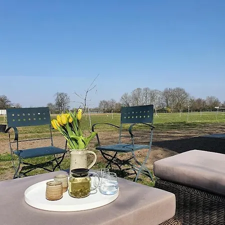 Houten Tussen Paarden Holiday home *