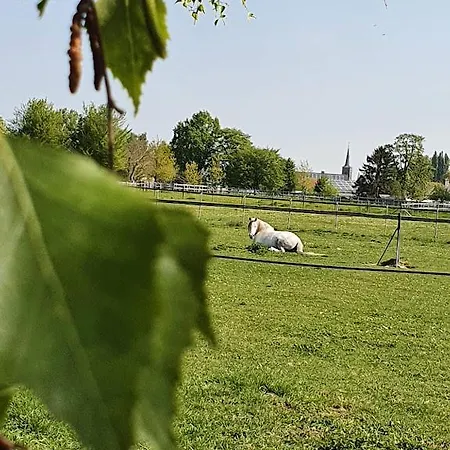 Holiday home Houten Tussen Paarden Nieuwerkerken