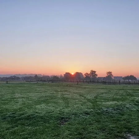 Houten Tussen Paarden Nieuwerkerken