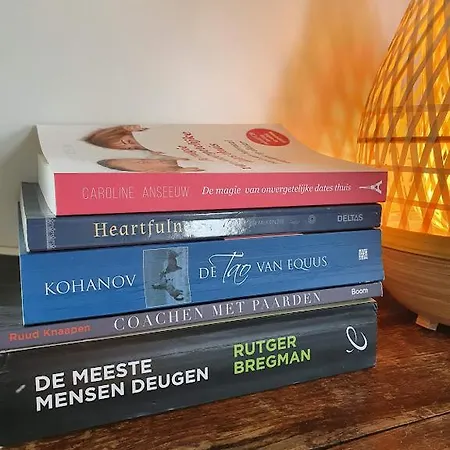 Houten Tussen Paarden Nieuwerkerken