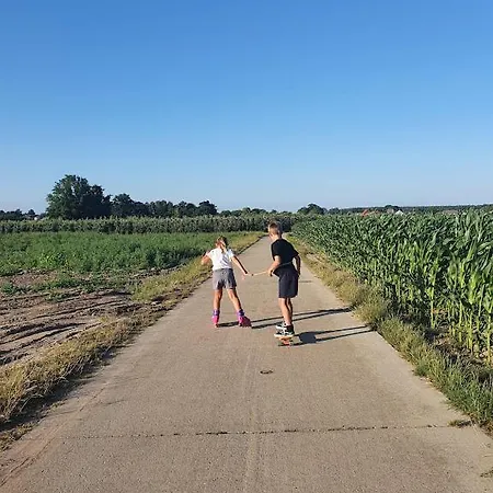 Houten Tussen Paarden