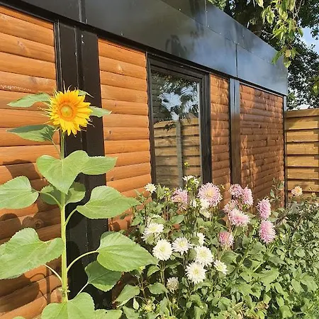 Houten Tussen Paarden Holiday home Nieuwerkerken