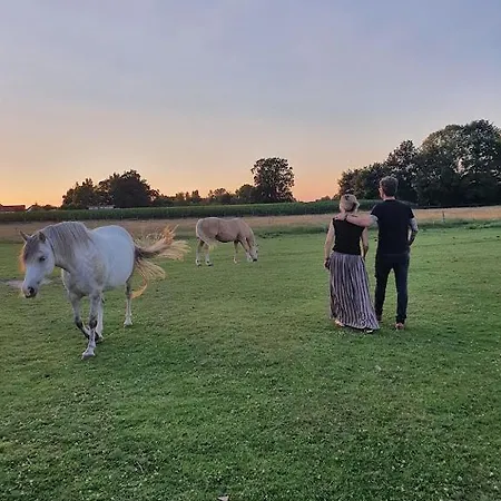 Houten Tussen Paarden Vakantiehuis *