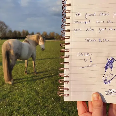 Houten Tussen Paarden *