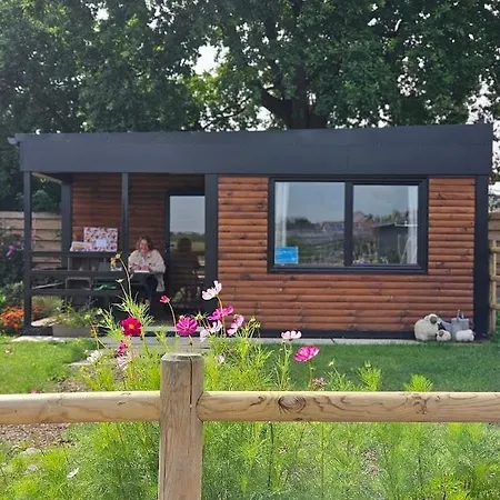 Vakantiehuis Houten Tussen Paarden