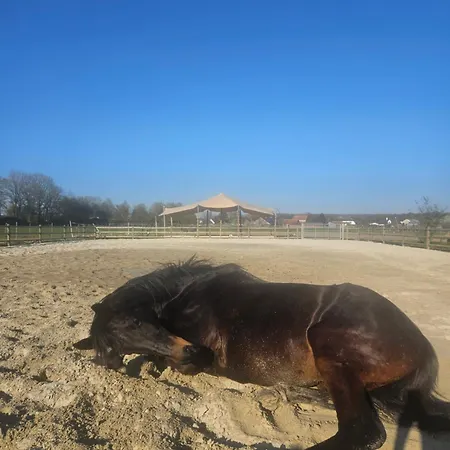 度假居 Houten Tussen Paarden Nieuwerkerken