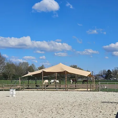 Houten Tussen Paarden
