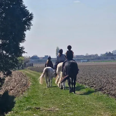 Houten Tussen Paarden 度假居 *